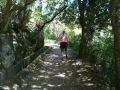 Madeira0788.JPG